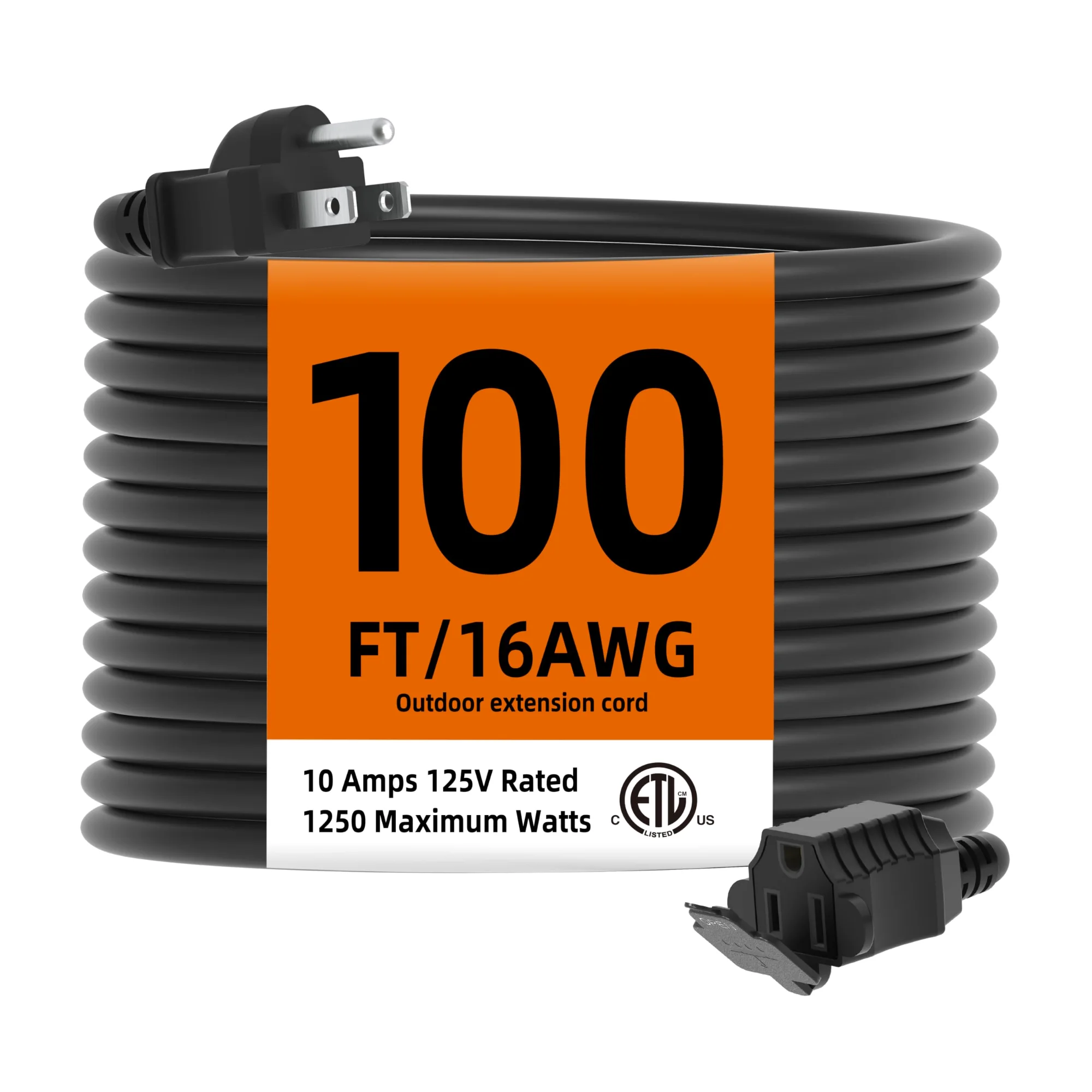 The 100 ft indoor/outdoor cord, 16 AWG, rated 10 A and 1250 W.